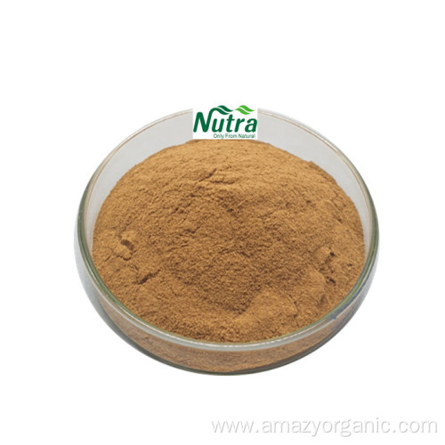 Best Price Black Cohosh Root Extract Powder 2.5%